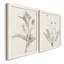 «Neutral Botanical Study VIIP», reproduction d'art encadrée - prête à être accrochée-558944164-559107758-559107760