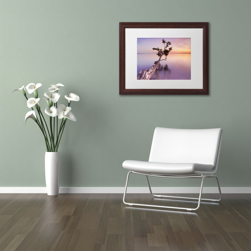 Moises Levy White Framed Canvas Print, 16" x 20"
