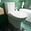 Toilette une pièce à double chasse