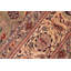 Padraigh Wool Oriental Indoor Rug