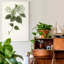 « Sauge Botanical I », reproduction d’art sur toile tendue-698939702