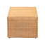 Table basse (table basse incluse seulement)