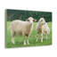 No Frame Print on Canvas-442737301