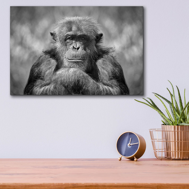 " Chimp " by SD Smart, 12" H x 16" W x 0.13" D