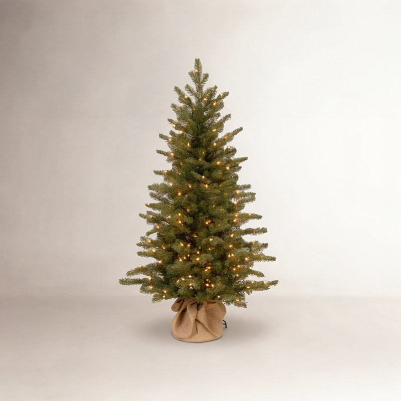 Nordic Spruce Tree with Clear Lights, 4'