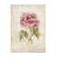 Œuvre d'art sur toile bolaire Cheri Blum-105629530
