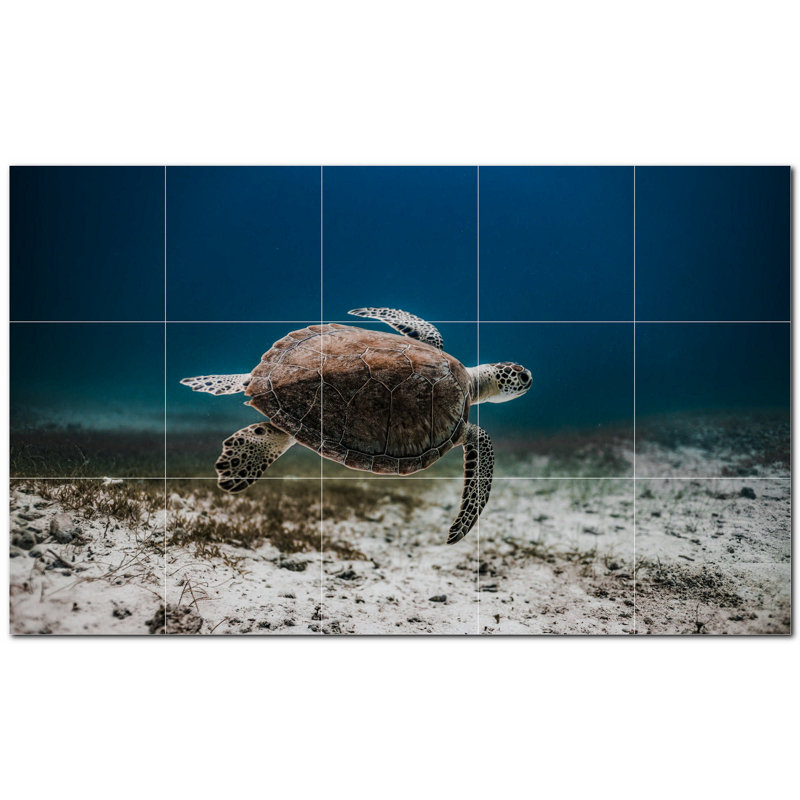 Murale en céramique satinée 4,25 po x 4,25 po Turtle Photo