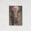 "Angus" par Sam Dolman-101656313