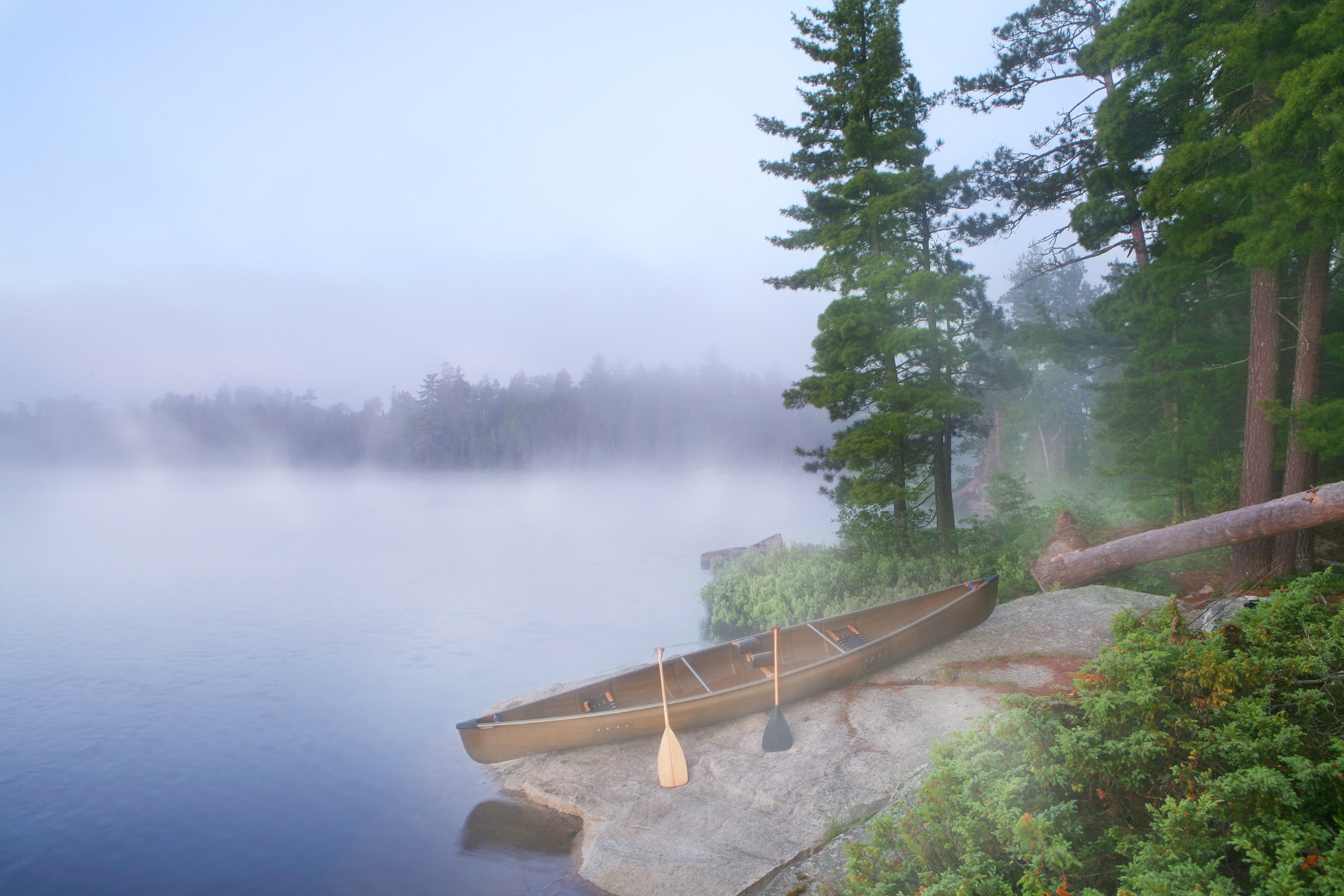 breakwater-bay-foggy-morning-in-canoe-country-by-georgepeters-wayfair