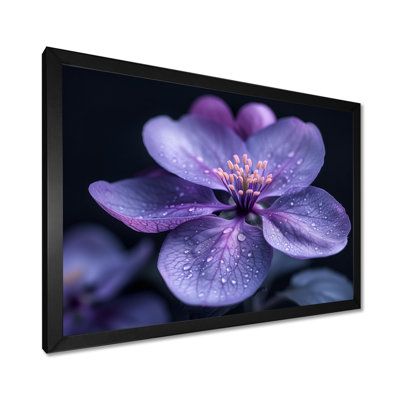 Mauve noir Moody Majesty, fleur de pommier