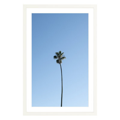 Plants & Flowers Print