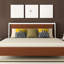 Coussin minneapolis Bird Ave-7489271-7489273
