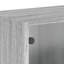 Mataya Rectangle Accent Cabinet-1957312480