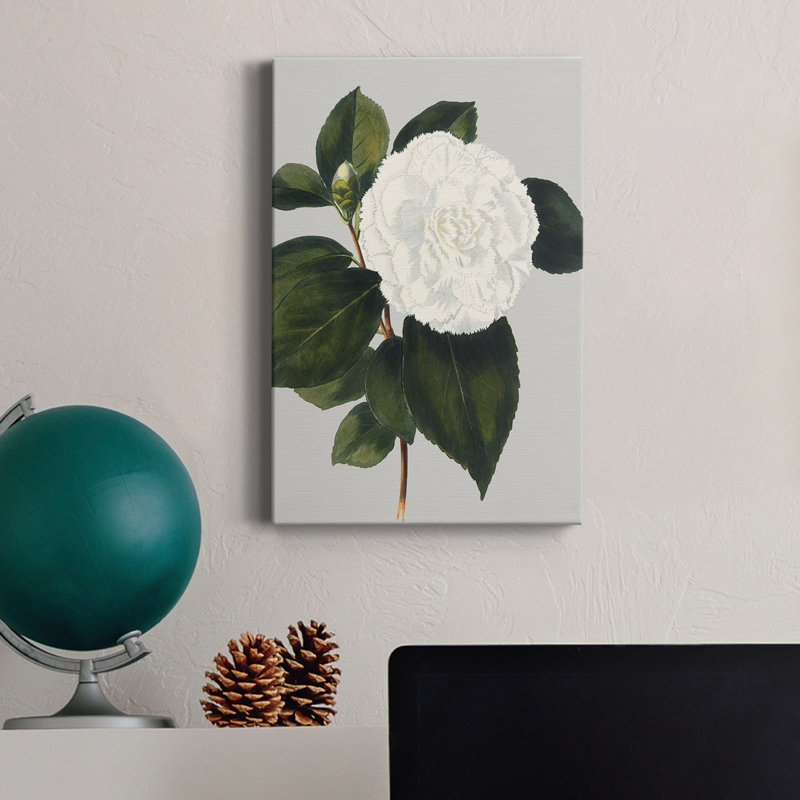 Camellia Japonica II - impression sur toile tendue, H 12 po x l 8 po x P 1 po