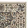 Petronella Viscose Oriental Rug in Ivory