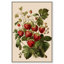 Strawberry Softness I, impressions sur toile par Art Remedy