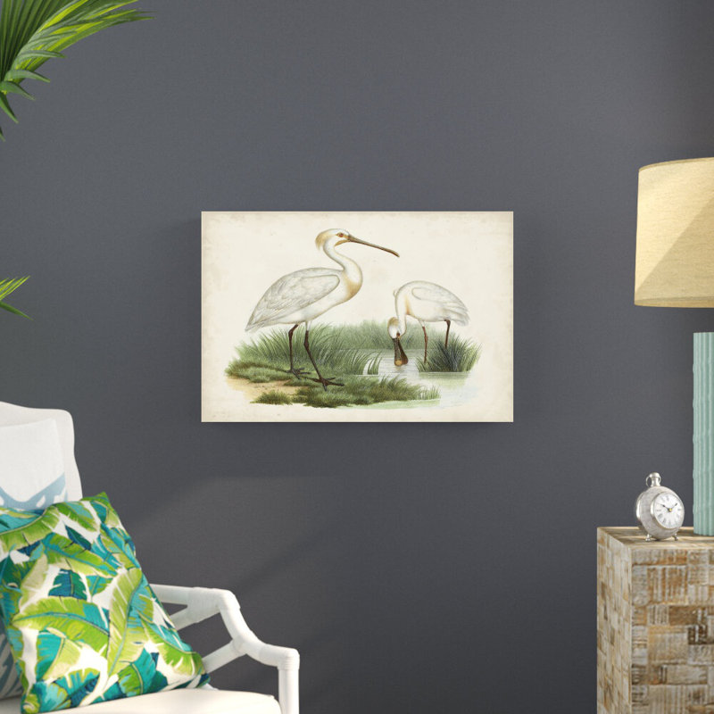 Antique Waterbirds III - impression sur toile tendue, H 20 po x l 30 po