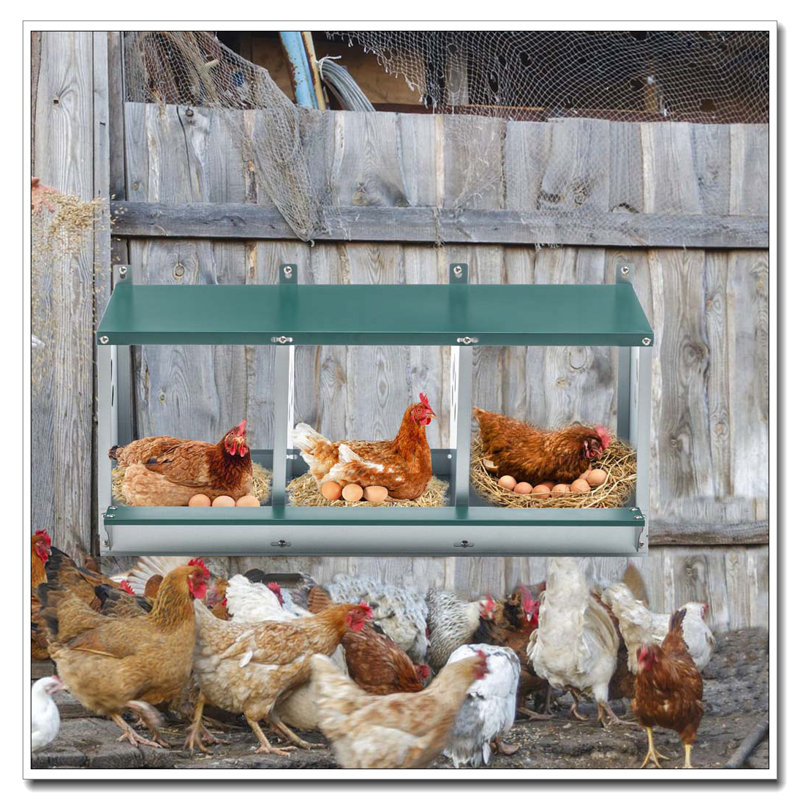 Boîte de nidification en métal pour poulet, boîte de nidification à 3 compartiments, boîte de nidification en acier galvanisé pour poules, facile à assembler