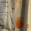 Rustic Reflections - Rideau abstrait à collage - Rideau abstrait occultant - 1 panneau-1931517