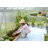 Palram - Canopia Essence 8' W x 12' D Walk-In Hobby Twin Wall Polycarbonate Aluminum Frame Greenhouse Kit with Roof Vents - Silver-883085708