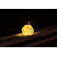 Nereus 5.5" Solar Powered Outdoor Hanging Light