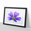 Purple Geranium Flower - Picture Frame Painting Print-56841975-56841974