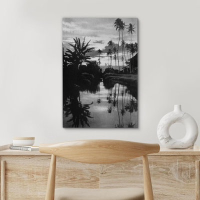 Tropical Palm " Vintage Film Grain Palm Tree Reflections Floral Plants Photography Modern Art Rustic " Black and White Photography Print