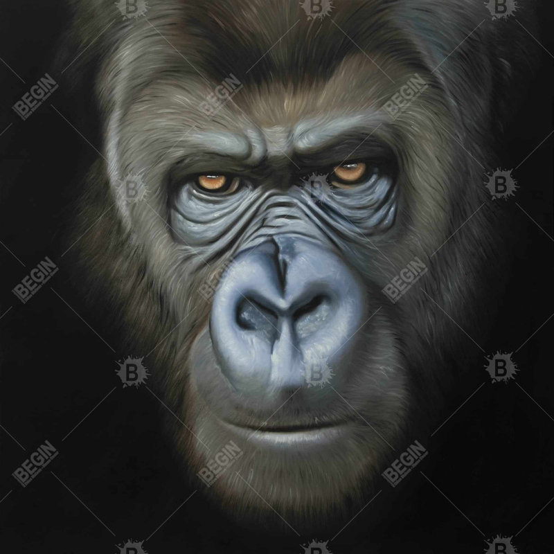 " Gorilla Face ", 36" H x 36" W