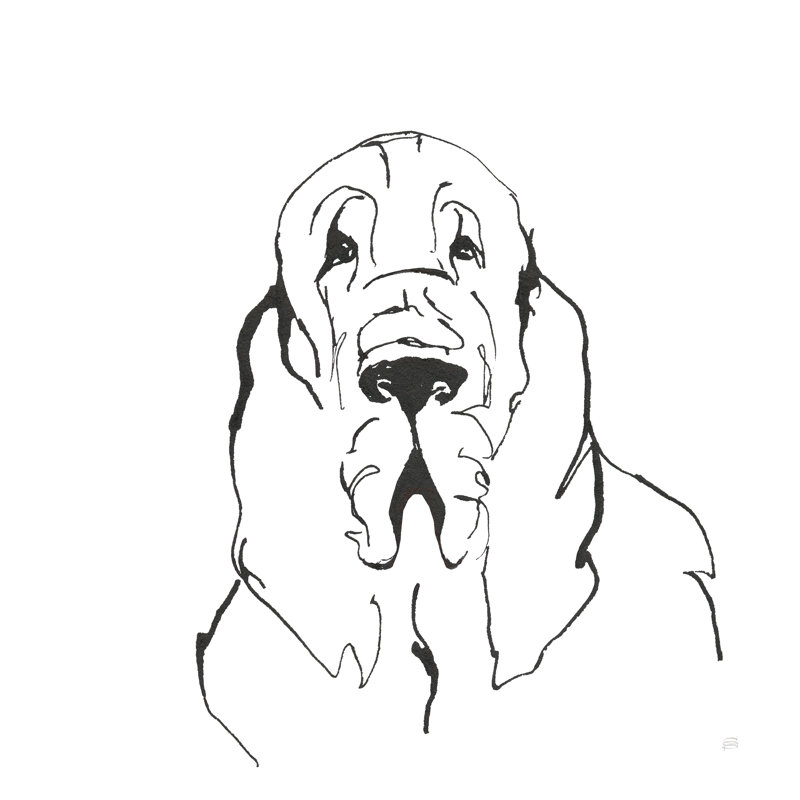 «Line Dog Bloodhound II» par Chris Paschke, reproduction d'art sur toile tendue, H 12 po x l 12 po