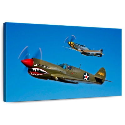 Mait A P-40E Warhawk And P-51D Mustang I