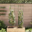 Plant Stand