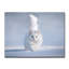 'Yellow Eyes' Photographic Print on Wrapped Canvas-31942121