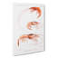 Shrimp Illustrations by Albert I - Wrapped Canvas Painting-55318603