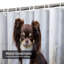 Rideau de douche chien avec 12 crochets-234672132