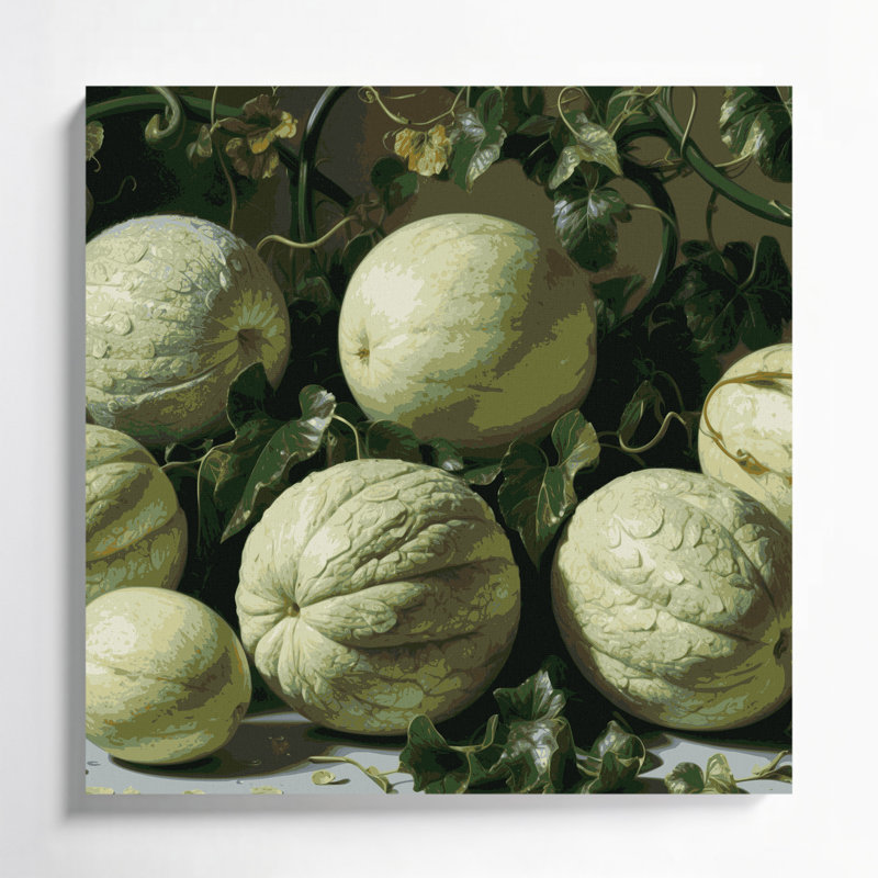 «Fruit Winter Melon», art mural sur toile, H 32 po x l 32 po