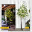 Indoor / Outdoor Lighted Trees & Branches