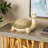 Magnesium Oxide Turtle Decorative Cream Garden Sculpture With Green Shell