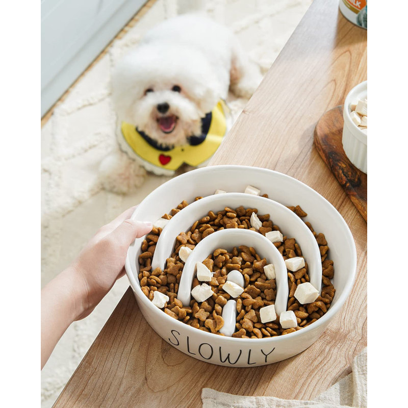 Devann Elevated Feeder