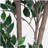 69" Artificial Ficus Tree with Black Plastic Pot