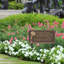 Dianthus Personalized Garden Sign-1260000879-1260827807