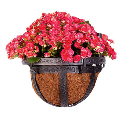 Stainless Steel Hanging Indoor/Outdoor Planter