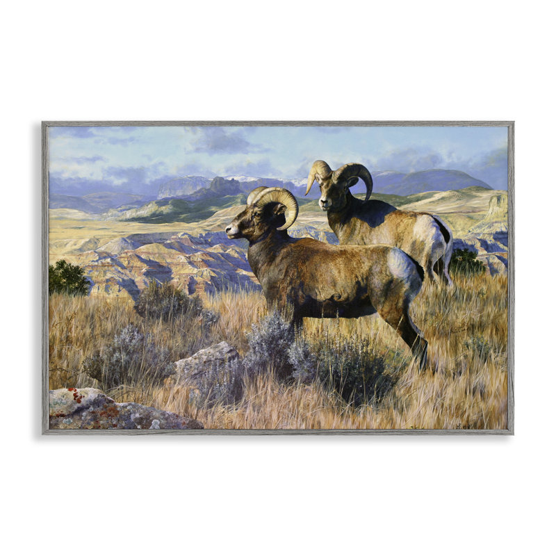  «Wild Rams» Torrey Canyon, estampe numérique par Mark Kelso, H 20 po x l 30 po, Estampe numérique Farmhouse
