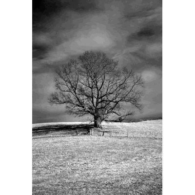 Arbre infrarouge par - on