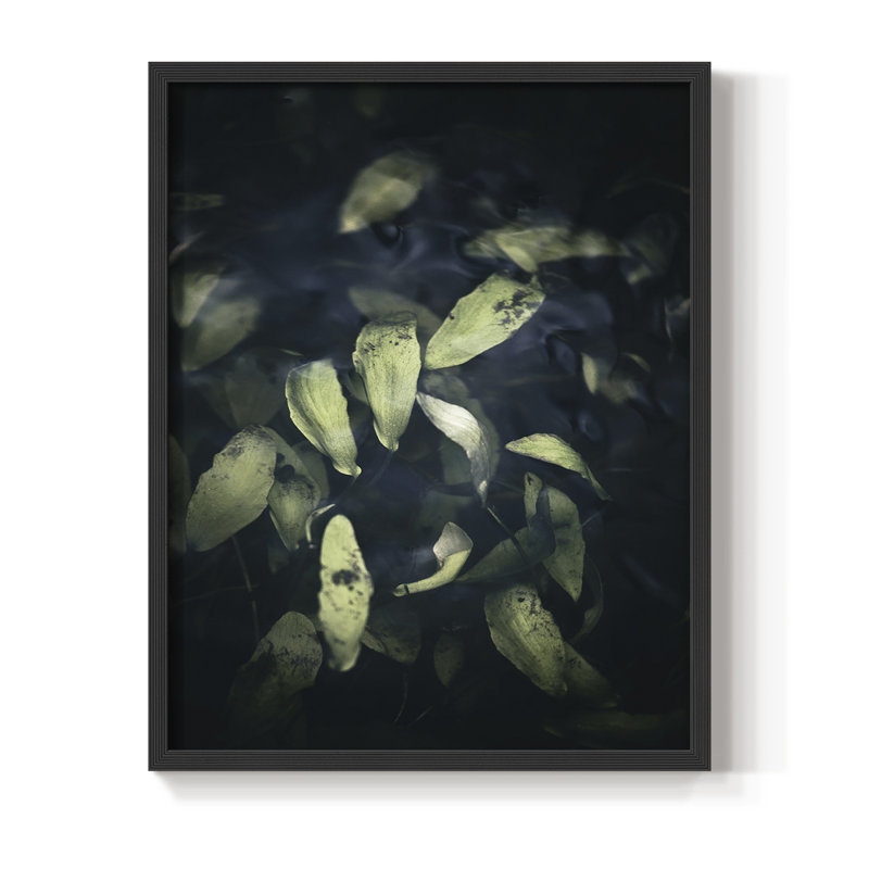«Dramatic Foliage II», reproduction encadrée - bois massif, Noir, H 10 po x l 8 po