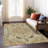 Machine Washable Indoor/Outdoor Chantille ACN2564 Global Rug-975717402-975717388