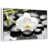 Cadre flottant blanc