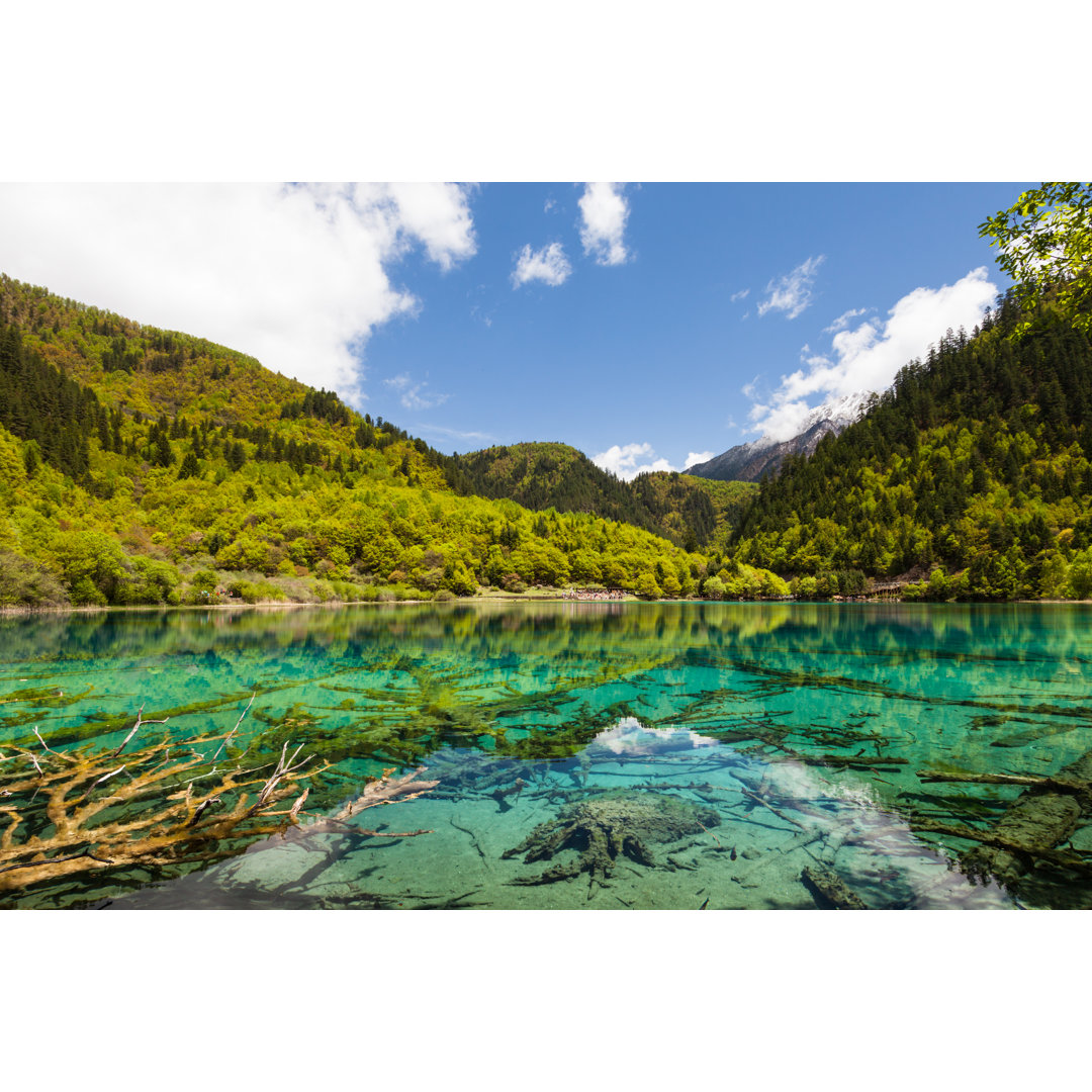 See bei Jiuzhaigou in China von Fototrav - Kunstdrucke