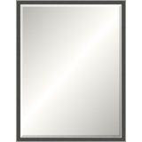 Silver Rustic Mirror