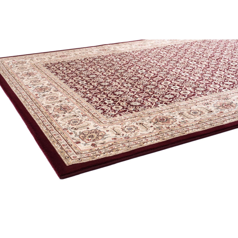 Esterino Oriental Indoor Rug, Rectangle 5'3" x 7'7"