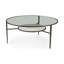 Lacretia Glass Top Single Coffee Table
